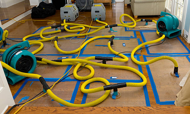 Professional Crawl Space Water Removal technician working in Tewksbury, MA